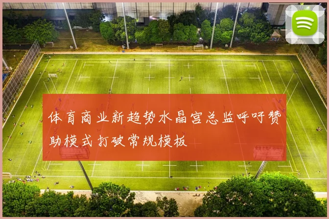 体育商业新趋势水晶宫总监呼吁赞助模式打破常规模板