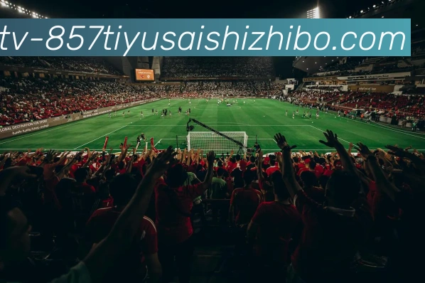 857体育赛事直播品牌故事