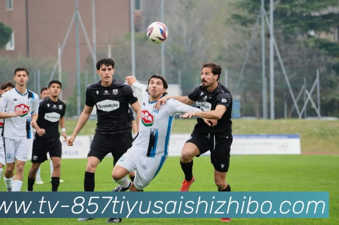 多媒体互动体验